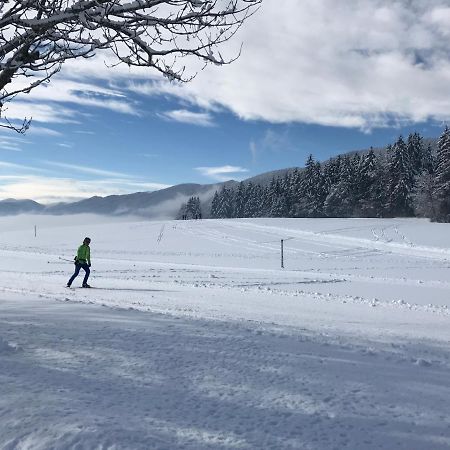 Plenouze Appartement Autrans-Meaudre-en-Vercors Buitenkant foto